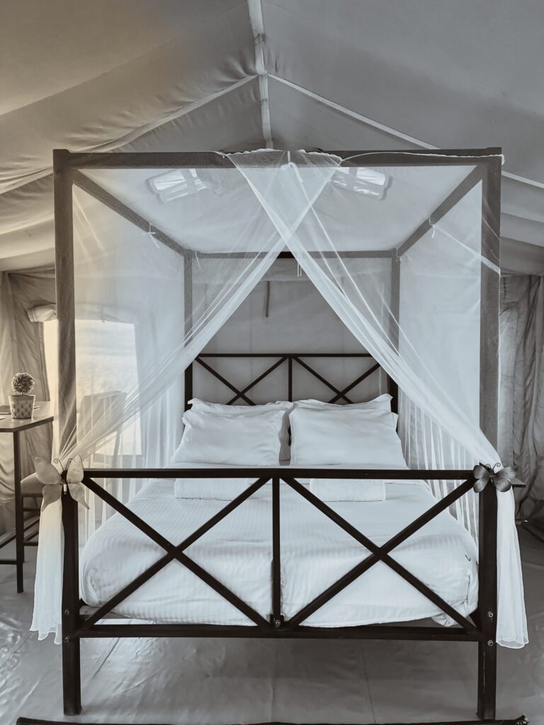Kwenia Accomodations.