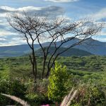 Kwenia Eco Lodge