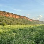 Venue Rentals