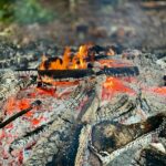 Bonefire kwenia
