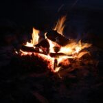 Bonefire kwenia