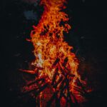 Bonefire kwenia