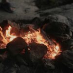 Bonefire kwenia